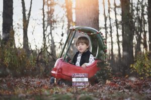 Little Boy poses in Little car during Family Photo Session